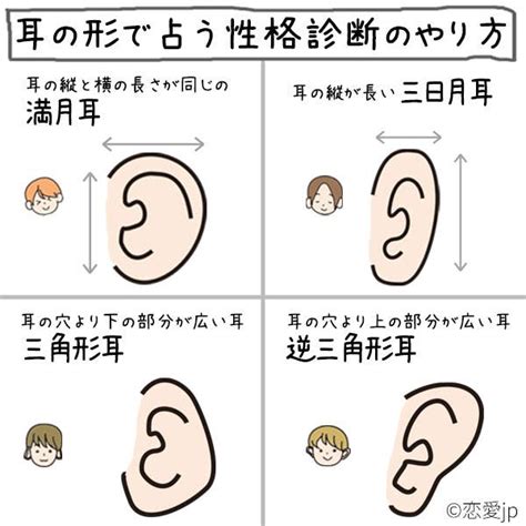 耳形|【人相学】耳の形で分かる生まれ持った運勢と気質